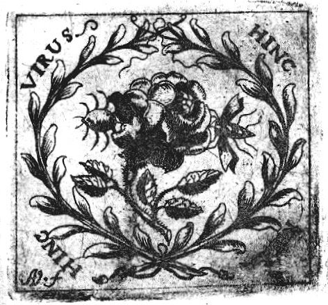 Bee sucking honey (Latin: 'mel') and spider (Dutch: 'spin') sucking venom from a rose