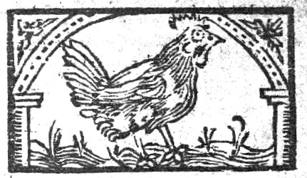A hen under an arch