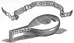 Lute with inscribed banderole