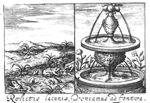 Picture split in two: frogs in a pond on the left, a fountain with some flowers on the right
