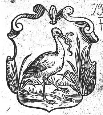 Storch with an snake