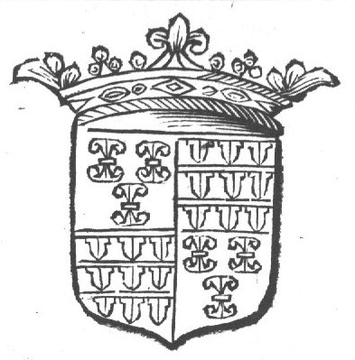 Coat of arms with crown