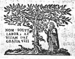 Man picking a bunch of grapes off a vine, winding itself round a tree; inscription