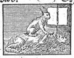 A hare sitting on a lion; an open book