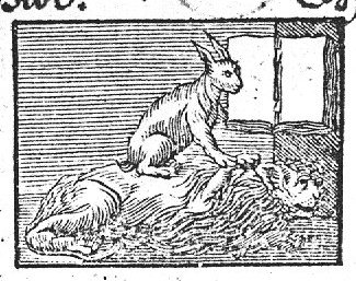 A hare sitting on a lion; an open book