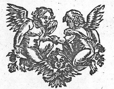 Putti handling flowers; cherub