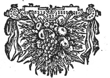 Ornament with flowers and fruits