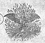 Phoenix in a fire