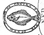 A flounder (Dutch: 'bot')