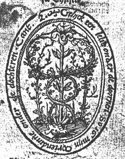 Lily and thorny shrubs, illustrating the Song of Songs: 'As a lily among thorns, So is my love among the daughters'; slightly decorated frame