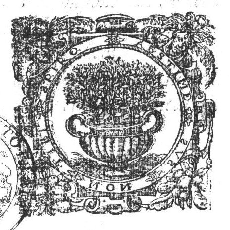 Flowering plants in a pot; frame decorated with human heads and festoons