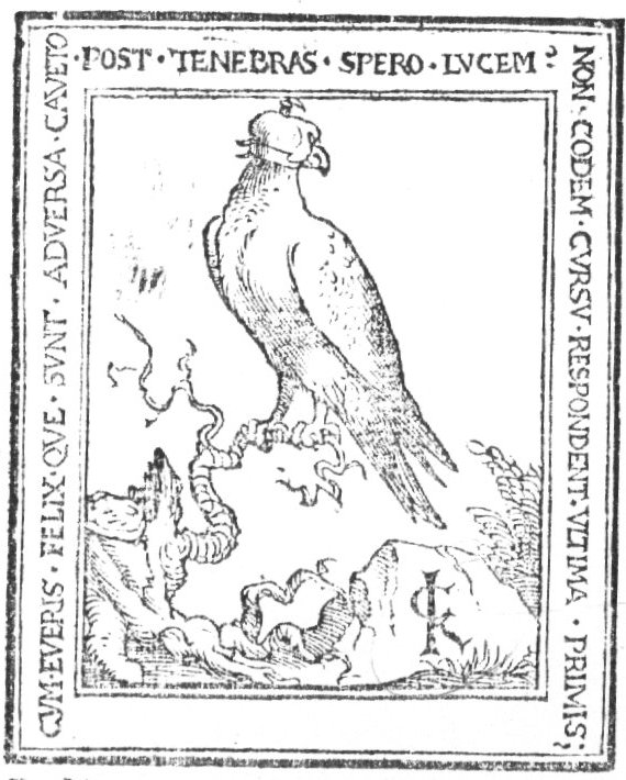 A falcon sitting on a tree trunk; monogram "C.K."