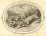 Emblem illustration for II iv 60