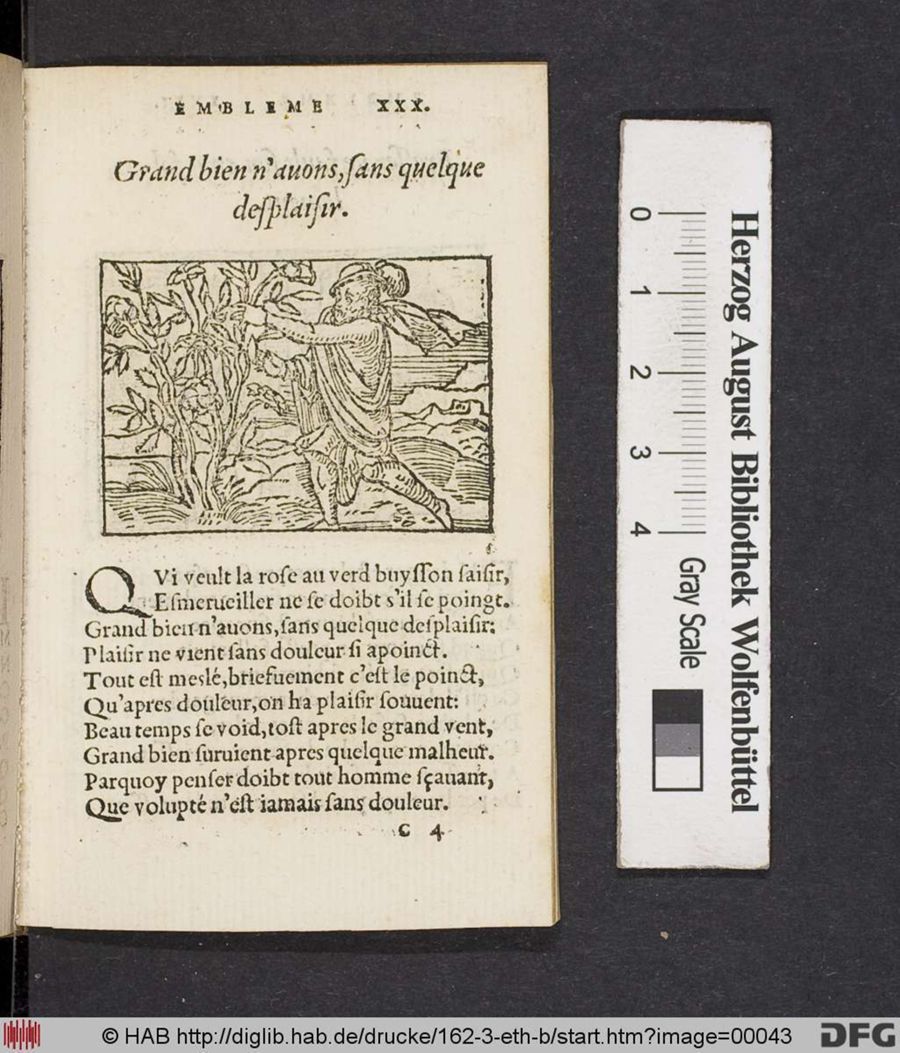 Facsimile page of emblem 30