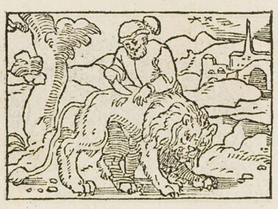 A man shearing a lion