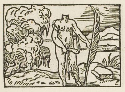 A headless nude woman standing in a landscape