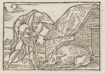 A man with a staff beside a pig rooting in the dirt