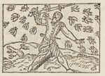 Emblem illustration for I viii 57