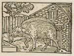 Emblem illustration for I vii 24