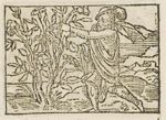 Emblem illustration for III i 87
