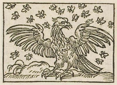 An eagle with spread wings surrounded by flies