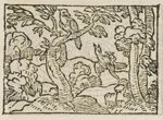 Emblem illustration for II ii 3