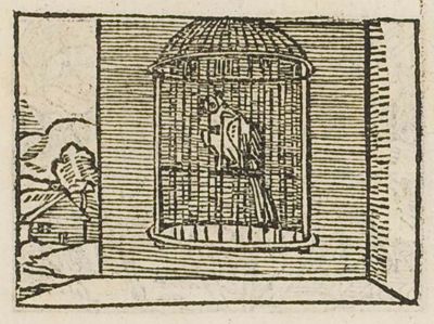A bird singing in a cage