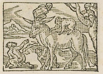 A donkey surrounded by monkeys