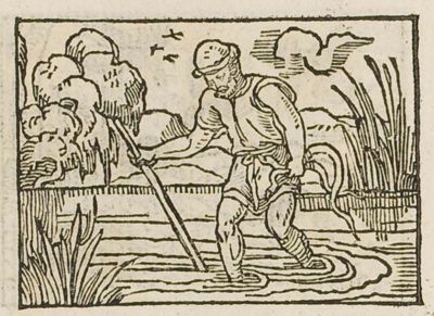 A man muddying the water with a pole to catch eels
