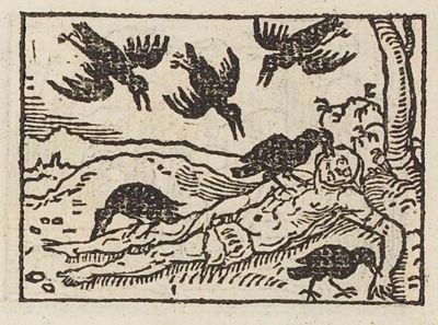 Crows feeding on a naked corpse