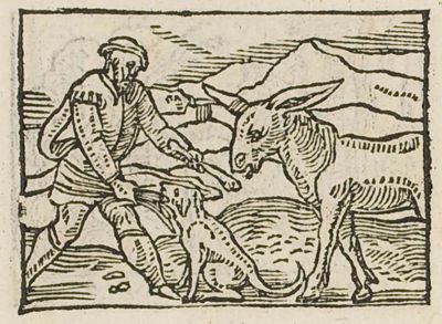A man giving a bone to a donkey and straw to dogs