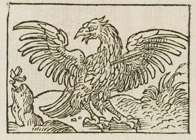 An eagle beside an arrow fledged with its own feathers