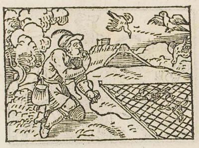 A fowler luring birds into his net with a bird-call