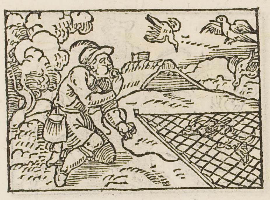 A fowler luring birds into his net with a bird-call