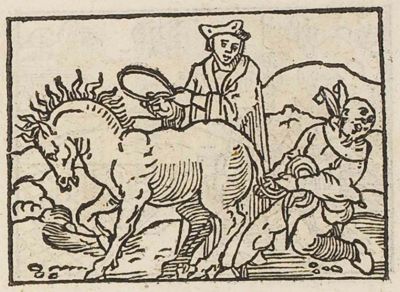 A man tugging at a horse's tail while another holds its halter