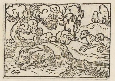 A hare crouching in the grass, pursued by two hounds