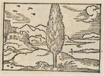 Emblem illustration for IV iii 10
