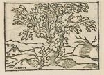Emblem illustration for IV ix 89