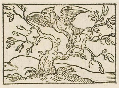 A hawk seizing a partridge and caught by its feet