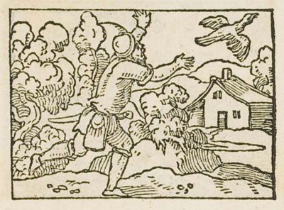 A man reaching after a bird that has flown from his hand