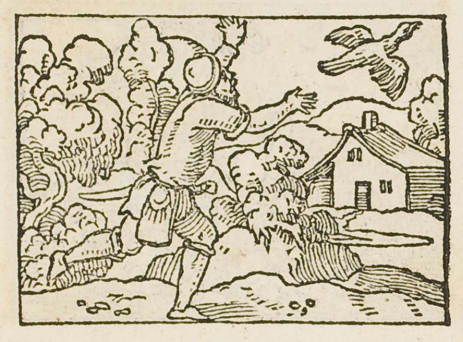 A man reaching after a bird that has flown from his hand