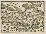 Emblem illustration for IV ii 51