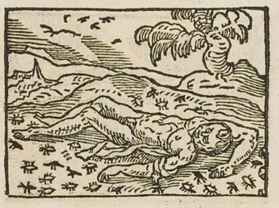 A naked corpse abandoned by fleas and lice
