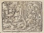 Emblem illustration for II vii 87