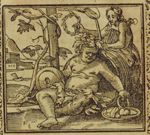 Emblem illustration for I vii 17