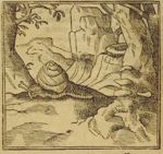 Emblem illustration for III iii 38