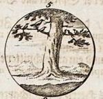 Emblem illustration for II ii 3