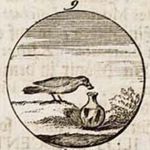 Emblem illustration for III ii 3