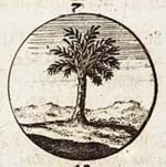 Emblem illustration for II vii 13