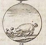 Emblem illustration for III vii 23